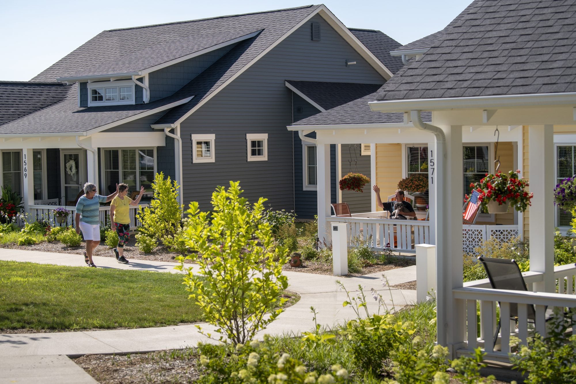 Cover image of Piper Trail