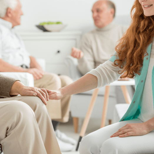 Cover image of Luminary Hospice